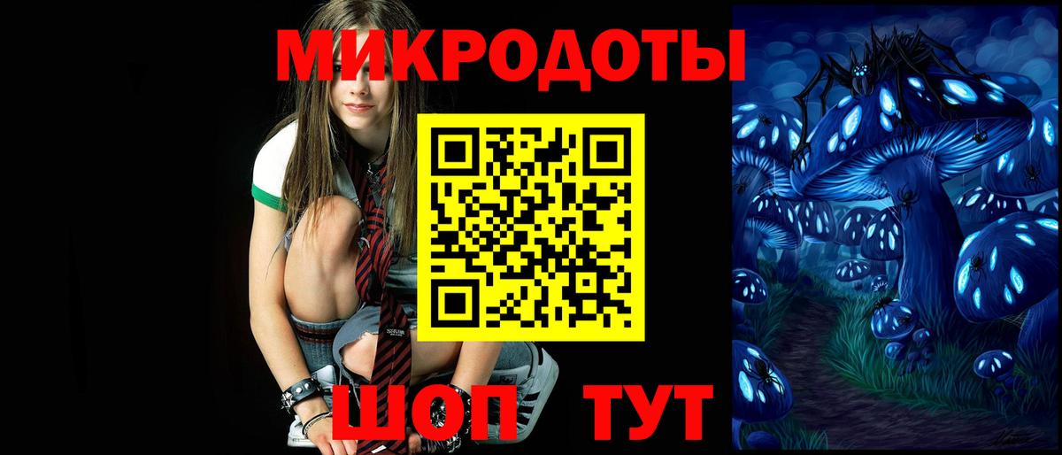 Галлюциногенные грибы Psilocybe Тосно