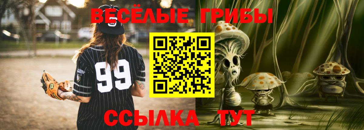 Тосно  Псилоцибиновые грибы мухоморы  купить наркотик  Вход с VPN 
